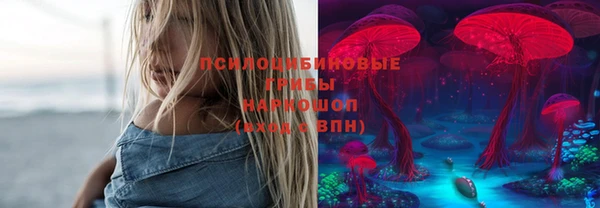 гашик Лагань