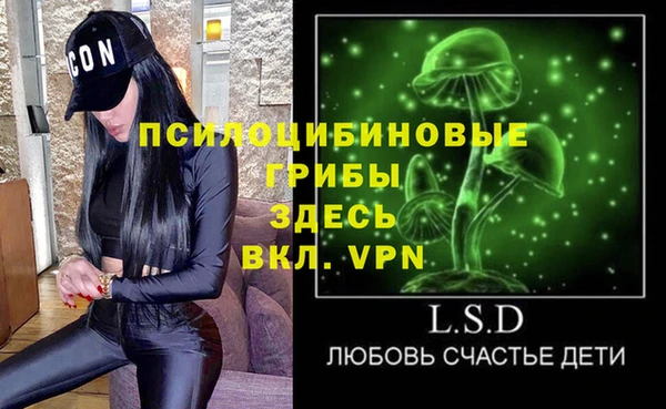 ГАЛЛЮЦИНОГЕННЫЕ ГРИБЫ Лиски