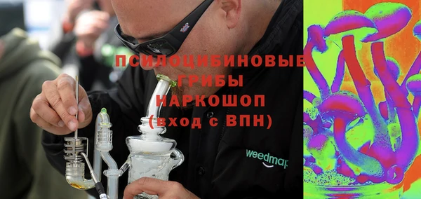 ГАЛЛЮЦИНОГЕННЫЕ ГРИБЫ Лиски