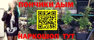 гидра Камышлов