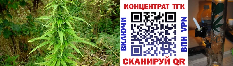 ТГК концентрат  цены наркотик  Шебекино 