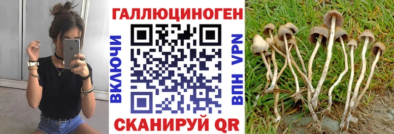 Псилоцибиновые грибы MAGIC MUSHROOMS  MEGA   Шебекино  сколько стоит 