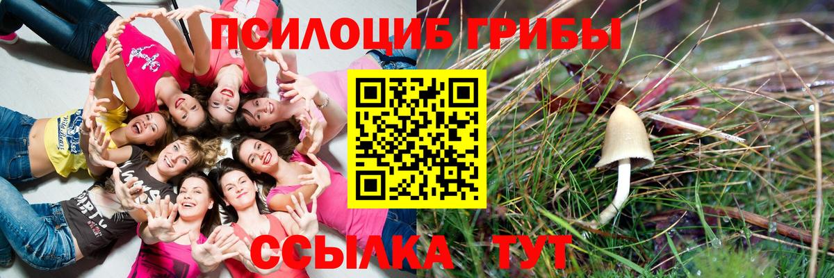 купить  сайты  Псилоцибиновые грибы прущие грибы  Шебекино  Вход с VPN  Псилоцибиновые грибы Magic Shrooms 